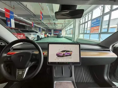 2022 Tesla Model 3 Model Rear-Wheel Drive Version, фото 3, лот 11074764