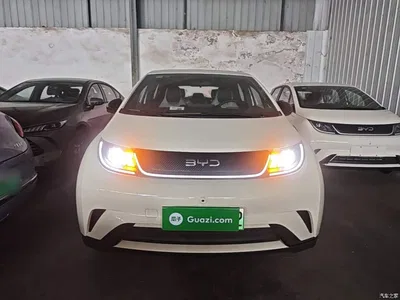 2025 BYD Dolphin 420km Freedom Edition, фото 3, лот 10389577