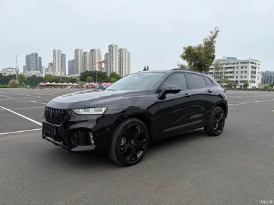 2019 WEY VV7 Upgraded 2.0T Flagship China VI, фото 1, лот 10611682