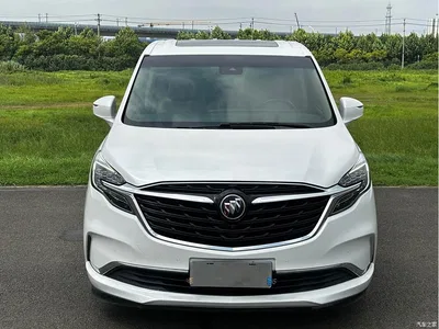 2021 Buick GL8 ES Landlord 653T Luxury, фото 2, лот 10253066