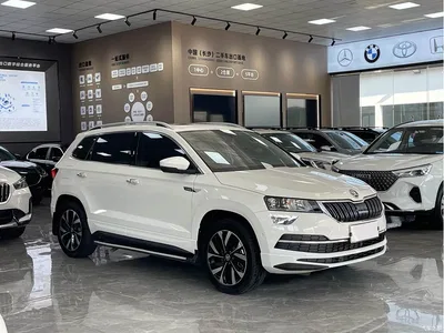 2022 Škoda Karoq Facelift TSI280 Luxury Edition, фото 3, лот 10349069