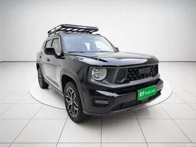 2024 Haval Second-Generation Big Dog New Energy Hi4 102km Trend Electric Plus, фото 3, лот 11242624