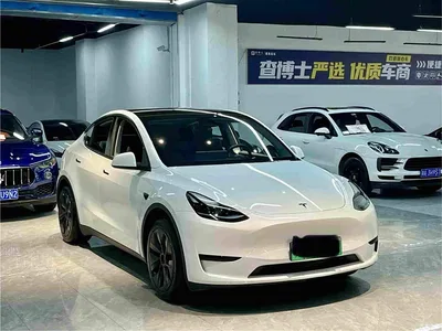 2024 Tesla Model Y Rear-Wheel Drive Version, фото 3, лот 10696748