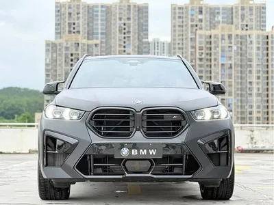 2023 BMW X5 M Model X5 M Thunder Edition, фото 2, лот 10416602