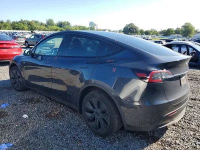2024 TESLA MODEL Y, фото 2, лот 10676037