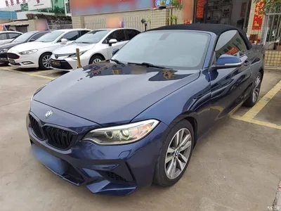 2017 BMW 2 Series (Import) 220i Convertible Coupe Leading, фото 1, лот 10471616