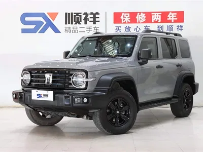 2021 Tank 300 Off-road Version 2.0T Conqueror, фото 1, лот 10354899