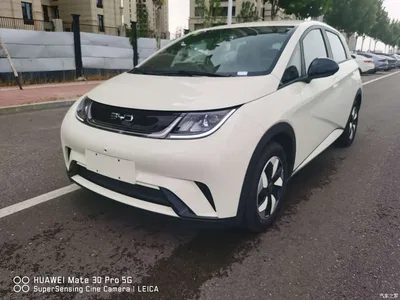 2025 BYD Dolphin 420km Freedom Edition, фото 1, лот 10250263