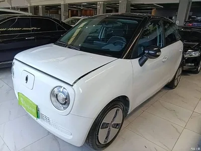 2019 Ora Black Cat 301km Standard, фото 2, лот 10330569