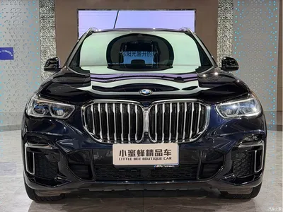 2022 BMW X5 Facelift xDrive 40Li M Sport Package, фото 2, лот 10411161
