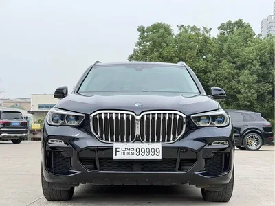 2020 BMW X5 (Import) xDrive40i M Sport Package, фото 2, лот 11138810