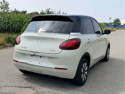 2023 Wuling Motors Wuling Bingo 333km Joyful Version, фото 4, лот 11016620