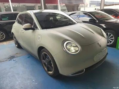 2023 Ora Good Cat 401km Standard Range Premium LFP, фото 4, лот 10330505
