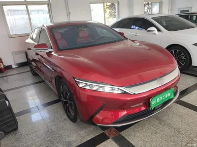 2020 BYD Han EV AWD High-Performance Flagship, фото 4, лот 10387184
