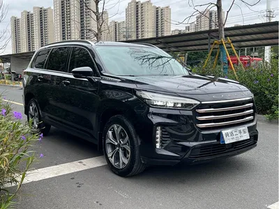 2021 Exeed Landmark 290T 2WD Starlight Edition, фото 3, лот 10435241