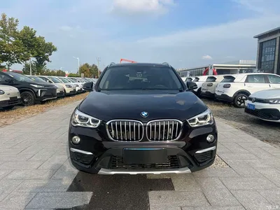 2019 BMW X1 xDrive20Li Premium Model, фото 2, лот 11192757