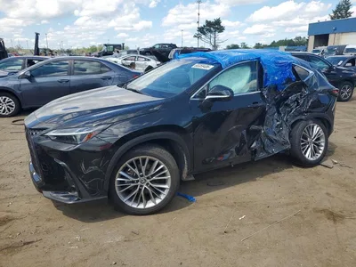 2025 LEXUS NX 350H LUXURY, фото 1, лот 10904570