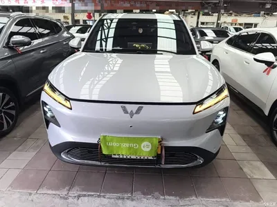 2024 Wuling Motors Wuling Xingguang S 130km Flagship Model, фото 3, лот 10836046
