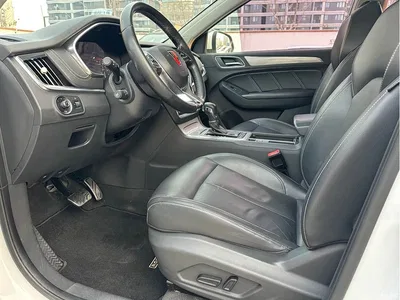 2017 Roewe RX5 Model 20T 2WD Automatic Internet Intelligence Premium Edition, фото 4, лот 10342633
