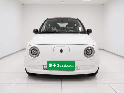 2021 Ora Black Cat 301km Basic Model, фото 2, лот 11548376