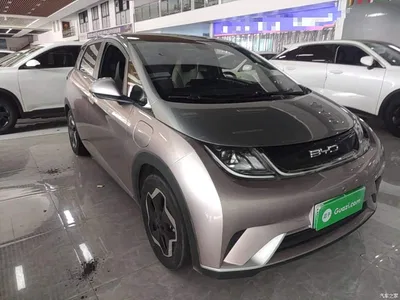 2021 BYD Dolphin Model 405km Fashion Edition, фото 4, лот 10264279