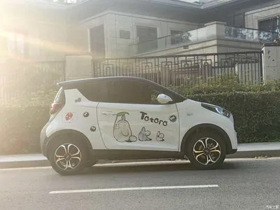 2021 QQ New Energy Little Ant 200K Fans Edition Talent Version (NCM Battery 301km), фото 4, лот 10823590