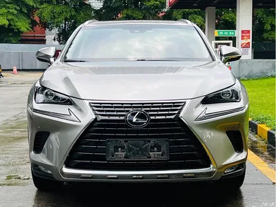2018 Lexus NX Model 200 AWD Fengshang Edition China V, фото 3, лот 10312187