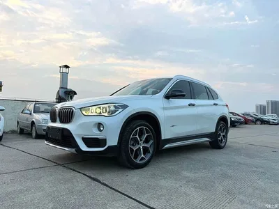 2018 BMW X1 sDrive18Li Premium Model, фото 1, лот 11523561