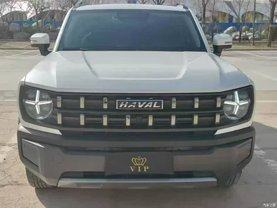 2022 Haval Cool Dog 1.5T DCT 2WD Trend Edition, фото 2, лот 11170825