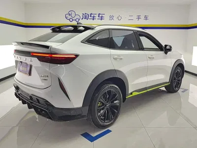 2022 Haval H6S Model 2.0T AWD Trend Run Edition, фото 3, лот 10393870