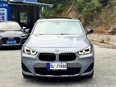 2020 BMW X2 sDrive25i Leading M Off-Road Package, фото 3, лот 10480837