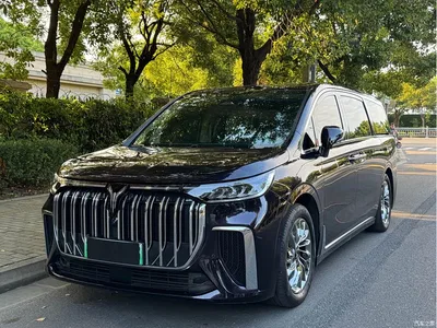 2024 Voyah Auto Voyah Dreamer PHEV Extended Range Flagship Edition, фото 1, лот 10405381