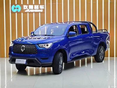 2021 Great Wall Pao 2.0T Commercial Edition Automatic Gasoline 2WD Elite Long Box GW4C20B, фото 1, лот 10364245
