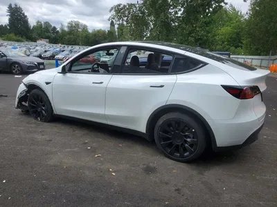 2023 TESLA MODEL Y, фото 2, лот 10853959