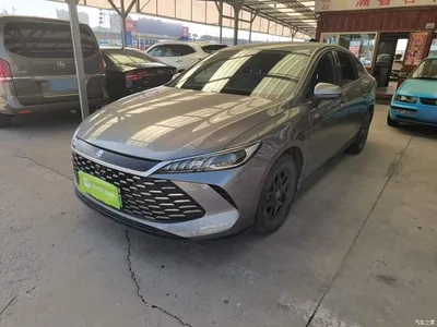 2025 BYD Qin PLUS DM-i Smart Drive 55KM Leader, фото 1, лот 11074146
