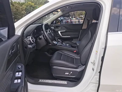 2020 WEY VV5 1.5T 2WD Style Pioneer, фото 4, лот 10451301