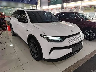 2023 Leapmotor C11 Range Extender 180 Comfort Edition, фото 4, лот 11136469