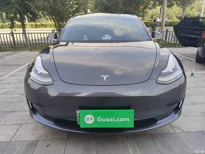 2020 Tesla Model 3 Standard Range Rear-Wheel Drive Upgrade, фото 3, лот 10482036