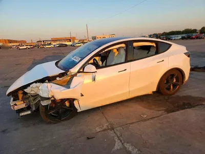 2026 TESLA MODEL Y, фото 1, лот 10855156