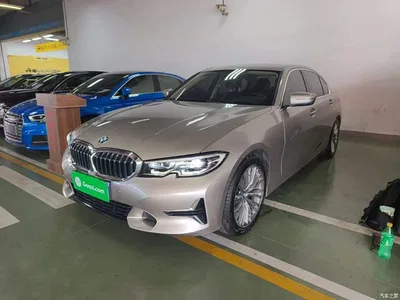 2020 BMW 3 Series 325Li Launch Edition, фото 1, лот 10457394