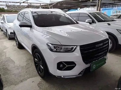 2021 Haval H6 1.5GDIT Automatic Champion Edition, фото 4, лот 10302985