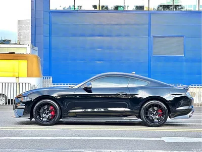 2021 Ford Mustang 2.3T EcoBoost, фото 3, лот 10397376