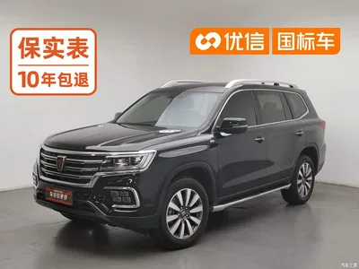 2019 Roewe RX8 30T Intelligent Internet 2WD Flagship Edition, фото 1, лот 10339027