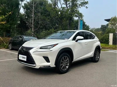 2020 Lexus NX 300 AWD F Sport China V, фото 1, лот 10889469