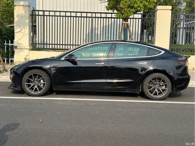 2019 Tesla Model 3 Standard Range Rear-Wheel Drive Upgrade, фото 3, лот 10360855