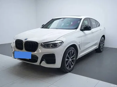 2019 BMW X4 xDrive25i M Sport Package, фото 1, лот 10476969
