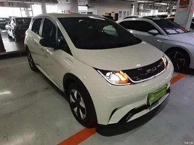 2024 BYD Dolphin Glory Edition 420km Freedom Edition, фото 4, лот 11244051