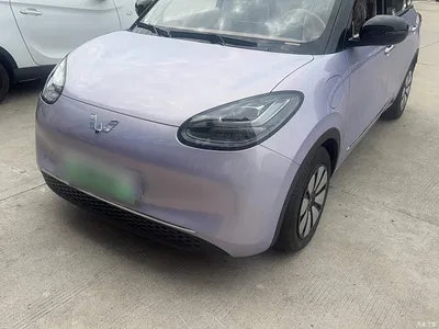 2025 Wuling Motors Wuling Bingo Model 333km Joy Edition, фото 3, лот 10382131