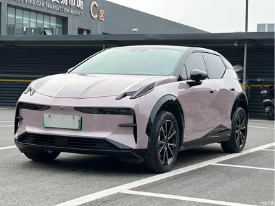 2024 ZEEKR X Model 5-Seat 4WD Version, фото 1, лот 10837102