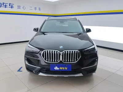2020 BMW X1 sDrive20Li Premium Edition, фото 2, лот 10684732